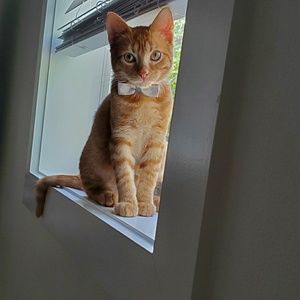 Meet your Posher, Jackie